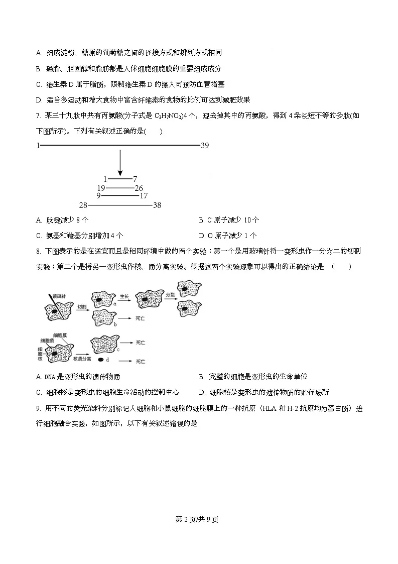 四川省华蓥中学2025-2026学年高一上学期11月期中生物试题(原卷版)第2页