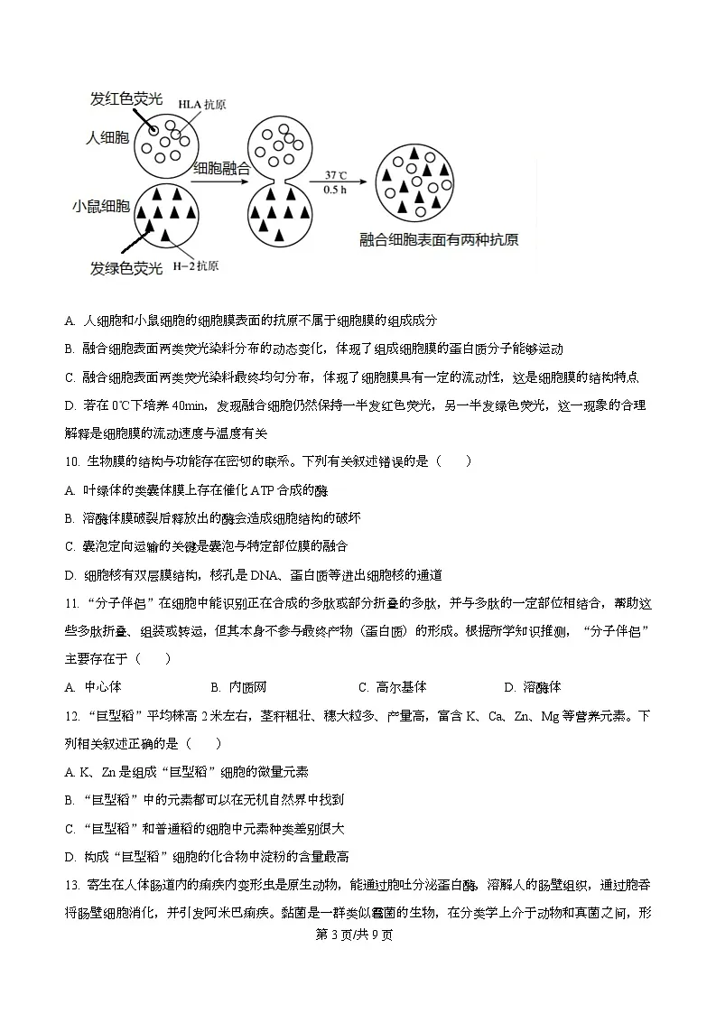 四川省华蓥中学2025-2026学年高一上学期11月期中生物试题(原卷版)第3页