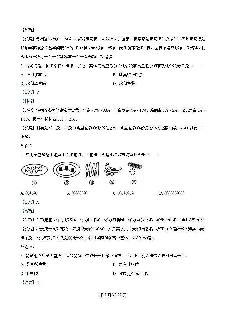 四川省华蓥中学2025-2026学年高一上学期11月期中生物试题 Word版含解析第2页