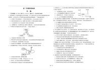 江苏省海安高级中学2024-2025学年高二上学期10月月考生物试题