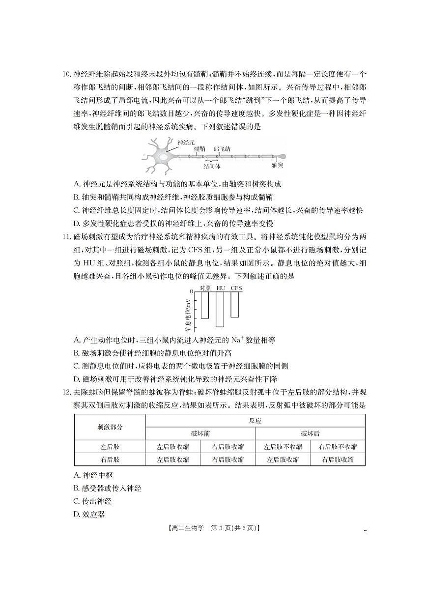 河南省南阳地区2025-2026学年高二上学期10月考试生物试题含答案第3页