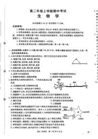 河北省保定市十校2025-2026学年高二上学期11月期中生物试题