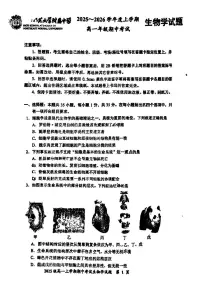 吉林省长春市东北师大附中2025-2026学年高一上学期期中生物试题