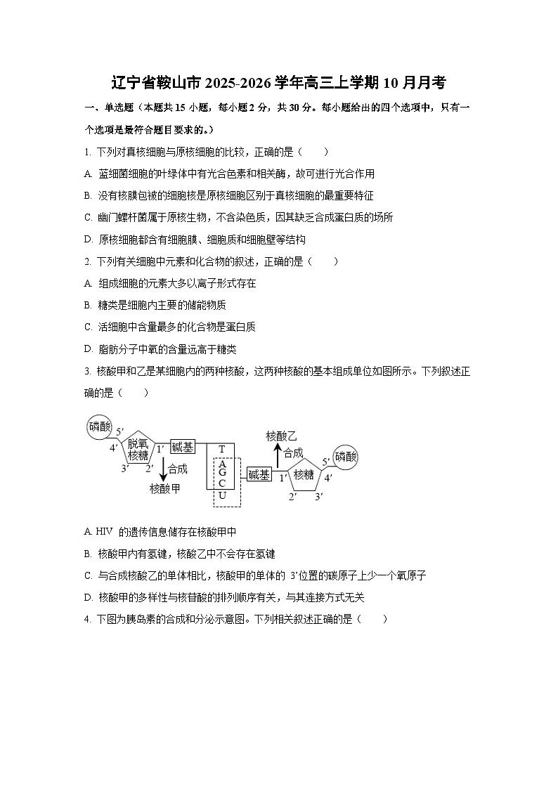 辽宁省鞍山市2025-2026学年高三上学期10月月考生物试卷(学生版)第1页