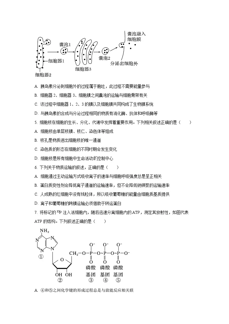 辽宁省鞍山市2025-2026学年高三上学期10月月考生物试卷(学生版)第2页