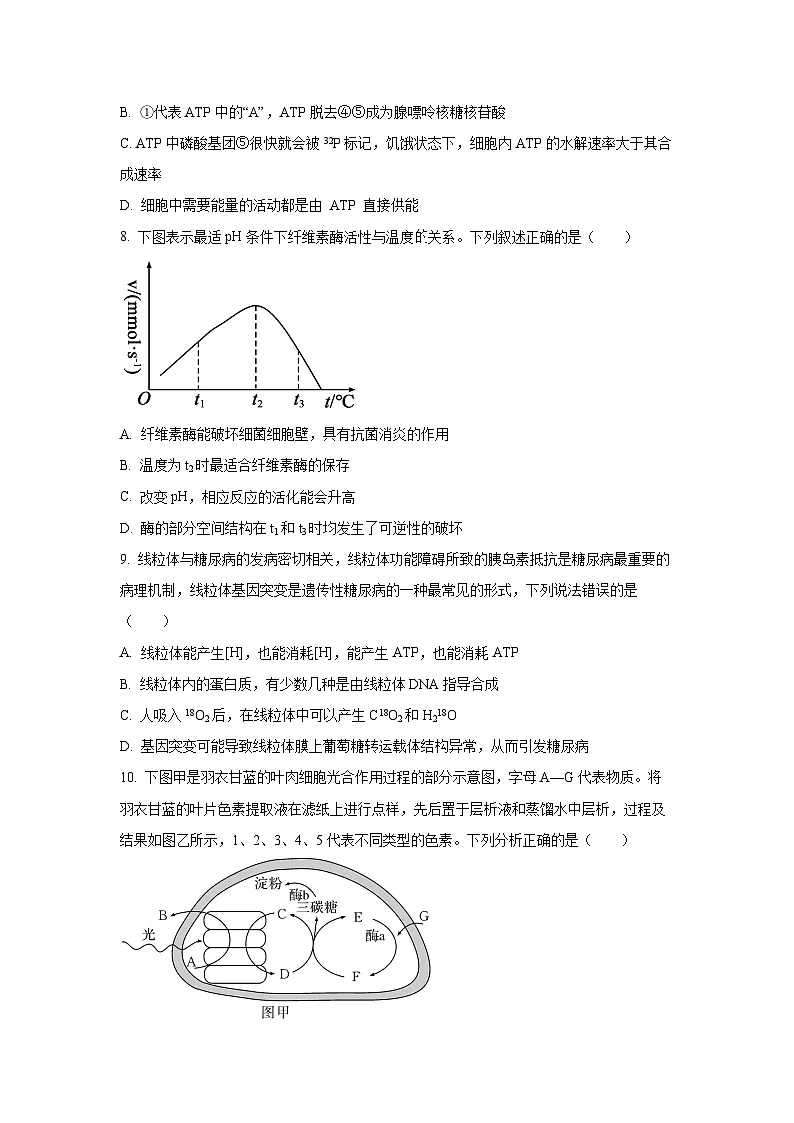 辽宁省鞍山市2025-2026学年高三上学期10月月考生物试卷(学生版)第3页