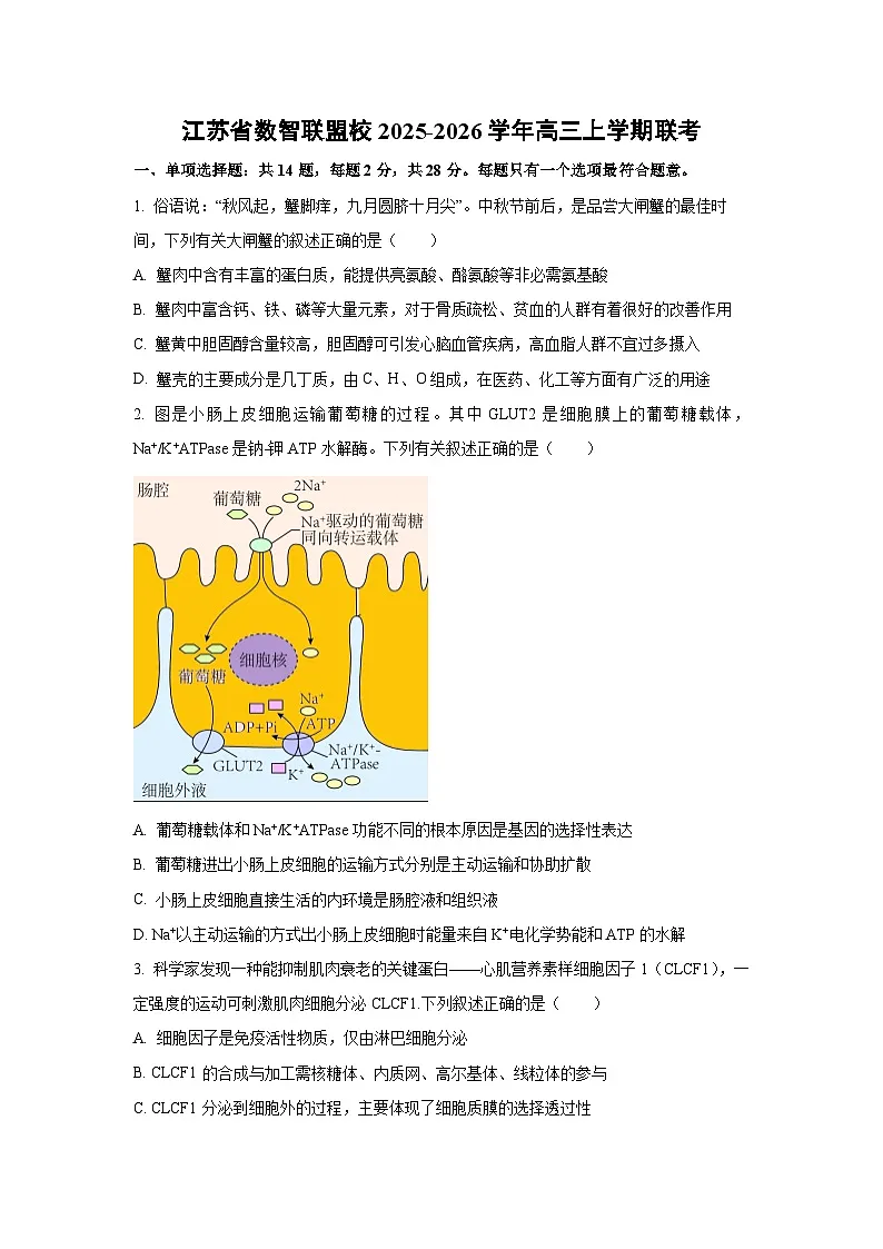 江苏省数智联盟校2025-2026学年高三上学期联考生物试卷(学生版)第1页