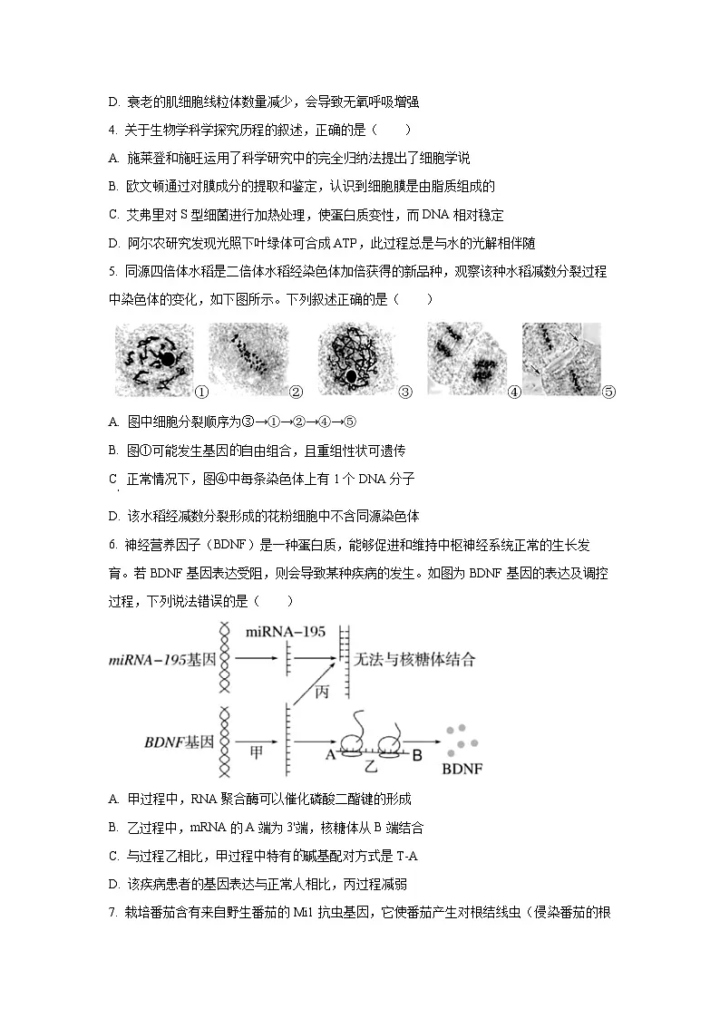 江苏省数智联盟校2025-2026学年高三上学期联考生物试卷(学生版)第2页