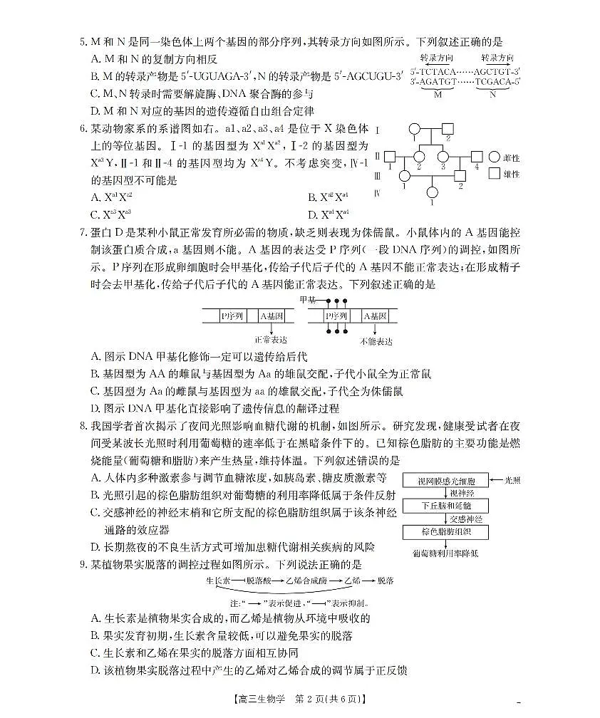 鄂州市2026届高三上学期第三届普通高中教师专业能力测试(解题大赛)+生物试卷(无答案)第2页
