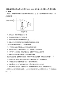 河北省邯郸市邯山区九校联考2025-2026学年高二上学期10月一调考试 生物 Word版含答案含答案解析