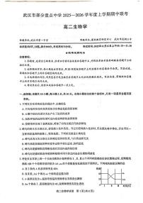 湖北省武汉市部分重点中学2025-2026学年高二上学期11月期中联考生物试卷含答案含答案解析