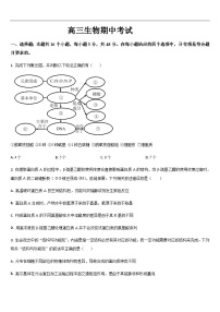 吉林省通化市梅河口市第五中学2025-2026学年高三上学期10月期中生物试题（含答案）
