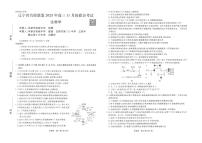 辽宁省名校联盟2025-2026学年高三上学期11月期中联合考试生物含答案解析