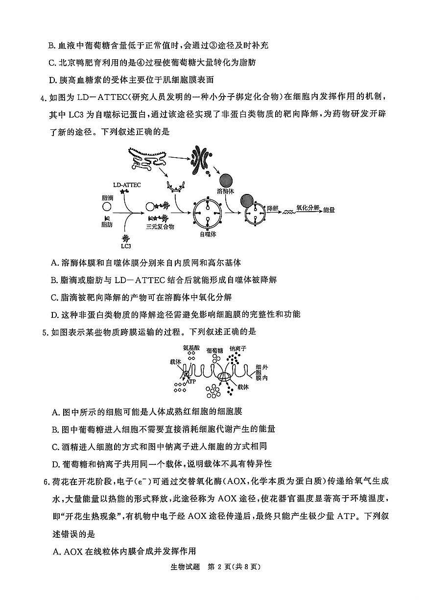 生物-青桐鸣大联考2025-2026学年高三上学期11月月考试题及答案第2页