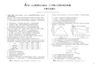 安徽省2026届高三上学期11月期中质量检测生物试题（含答案）