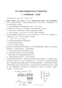 2026届重庆市康德高三上学期11月调研测试试题卷生物试题（含答案）