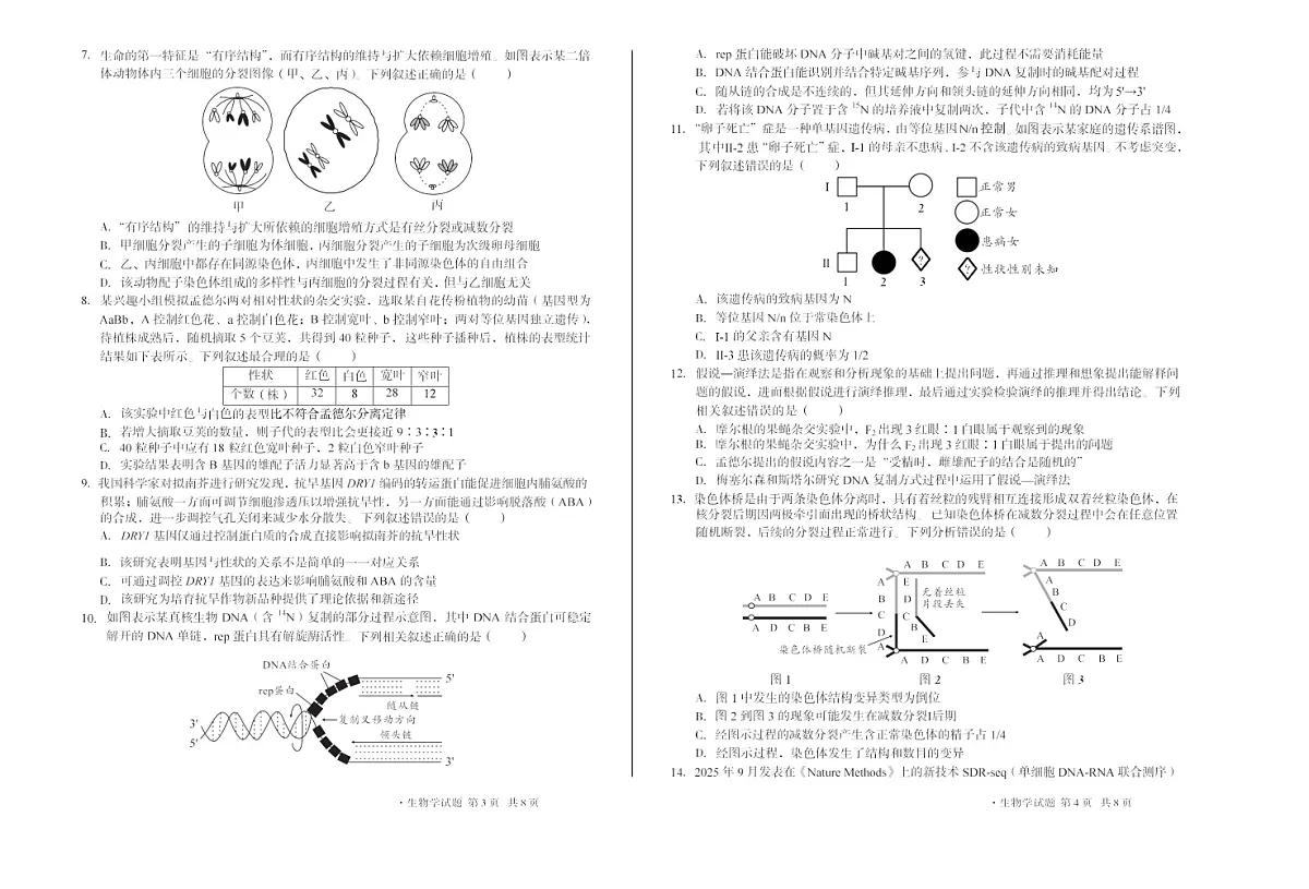 安徽1号卷A10联盟2026届高三上学期11月期中考试生物试卷第2页
