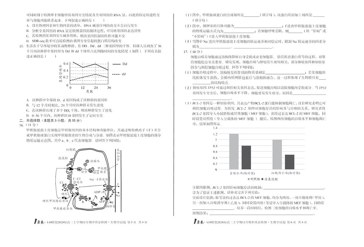 安徽1号卷A10联盟2026届高三上学期11月期中考试生物试卷第3页