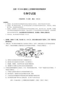 【生物试题】合肥一中2026届高三上学期期中教学质量检测（含答案）