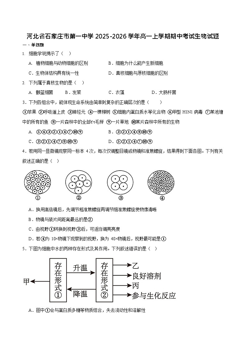河北省石家庄市第一中学2025-2026学年高一上学期期中考试 生物试卷第1页