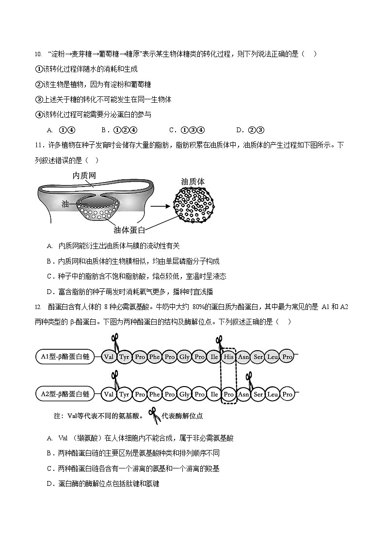 河北省石家庄市第一中学2025-2026学年高一上学期期中考试 生物试卷第3页
