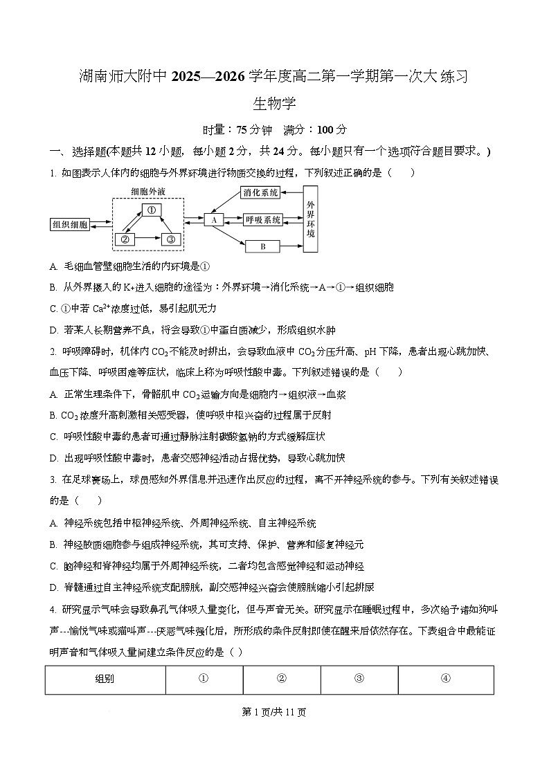 湖南省长沙市师大附中2025-2026学年高二上学期第1次月考生物试题(原卷版)第1页