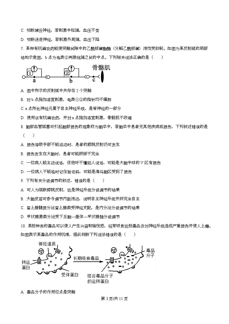 湖南省长沙市师大附中2025-2026学年高二上学期第1次月考生物试题(原卷版)第3页