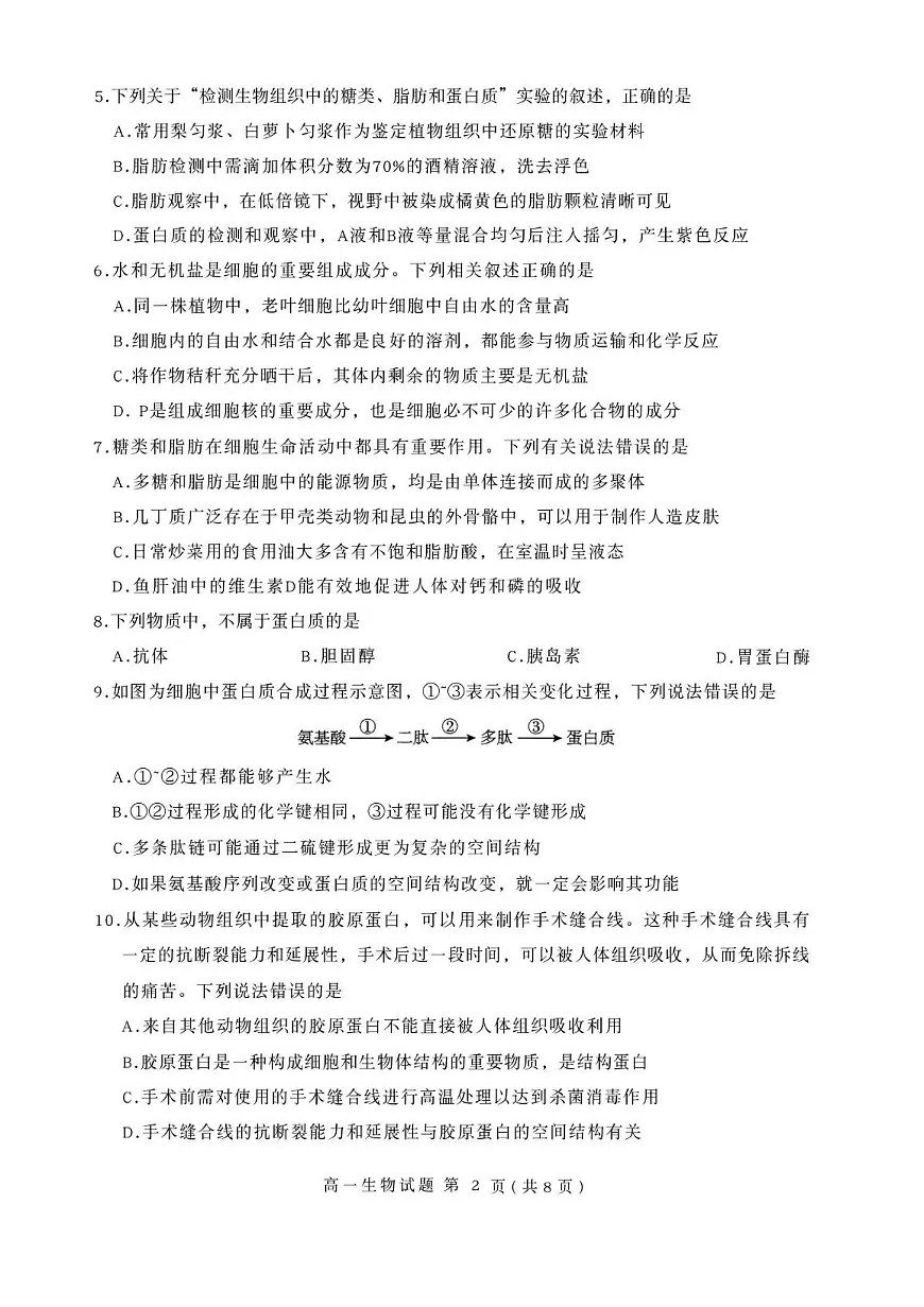 山东省临沂市兰山区2025-2026学年高一上学期11月期中考试生物试题第2页