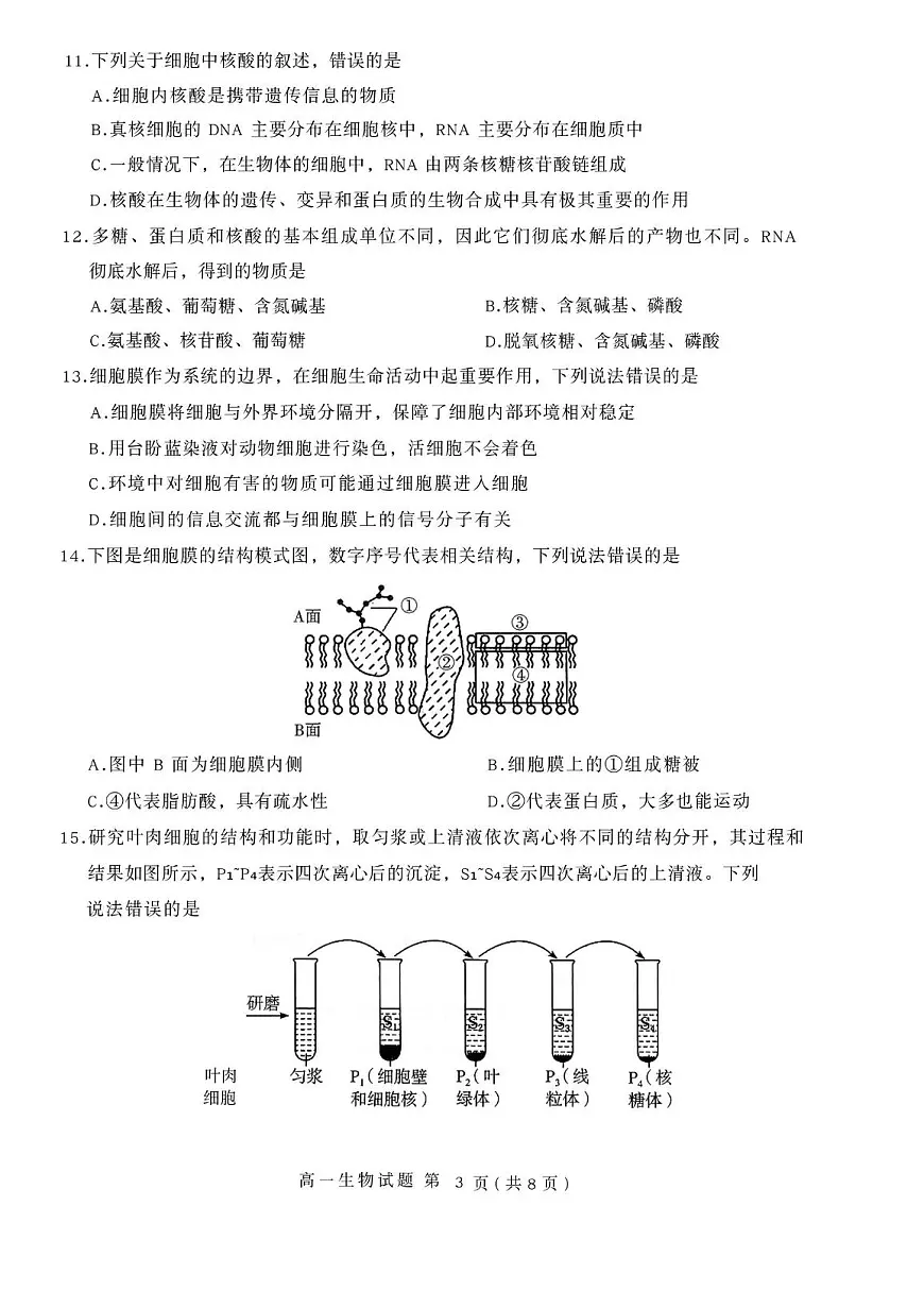 山东省临沂市兰山区2025-2026学年高一上学期11月期中考试生物试题第3页