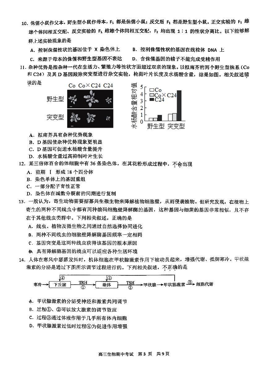 2025北京育才学校高三(上)期中生物试卷第3页