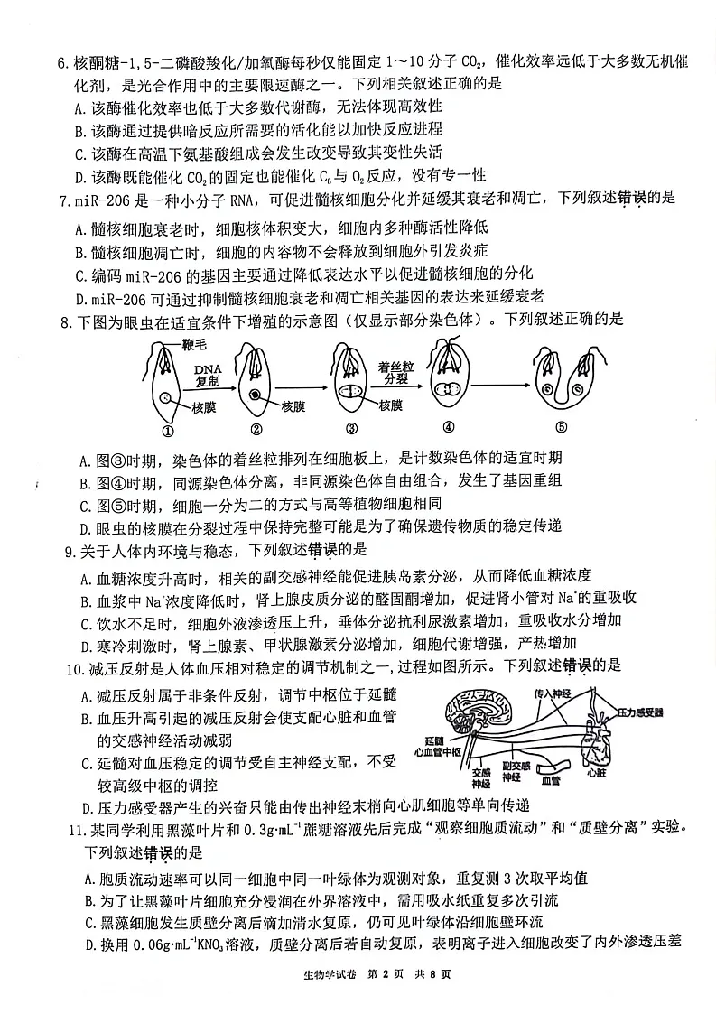 江苏省连云港市2025-2026学年高三上学期11月期中考试生物试卷第2页