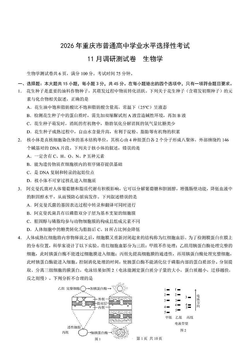 重庆市2025-2026学年高三上学期11月期中调研生物试题第1页