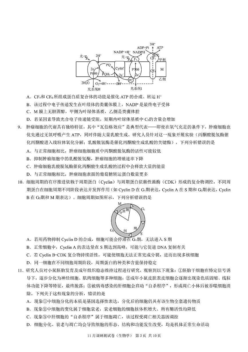 重庆市2025-2026学年高三上学期11月期中调研生物试题第3页