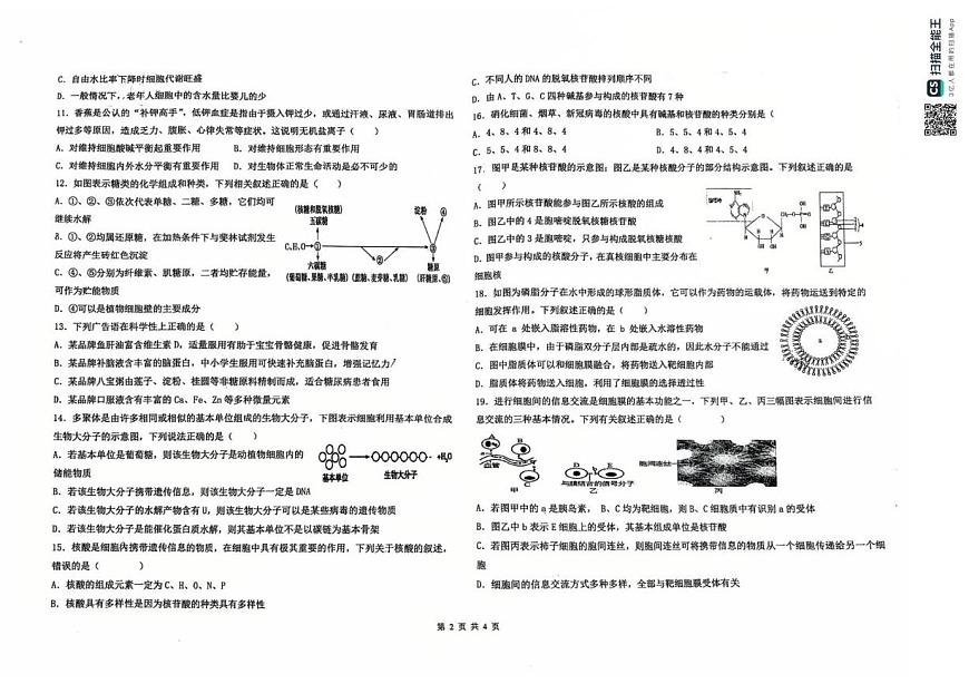 天津市第九十五中学2025-2026学年高一上学期期中考试生物试题第2页
