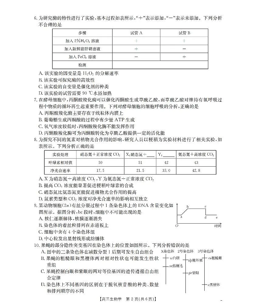 新疆金太阳2026届高三上学期10月联考(26-60C)生物试题+答案第2页