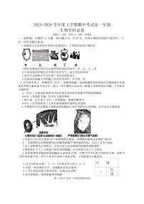 辽宁省大连市第二十四中学2025-2026高一(上)期中考试生物试卷