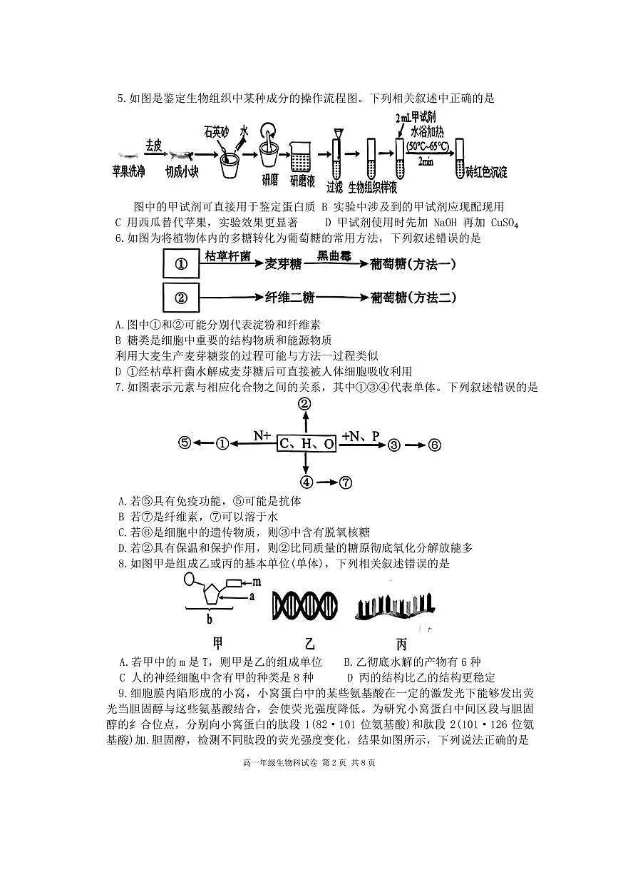 辽宁省大连市第二十四中学2025-2026高一(上)期中考试生物试卷第2页