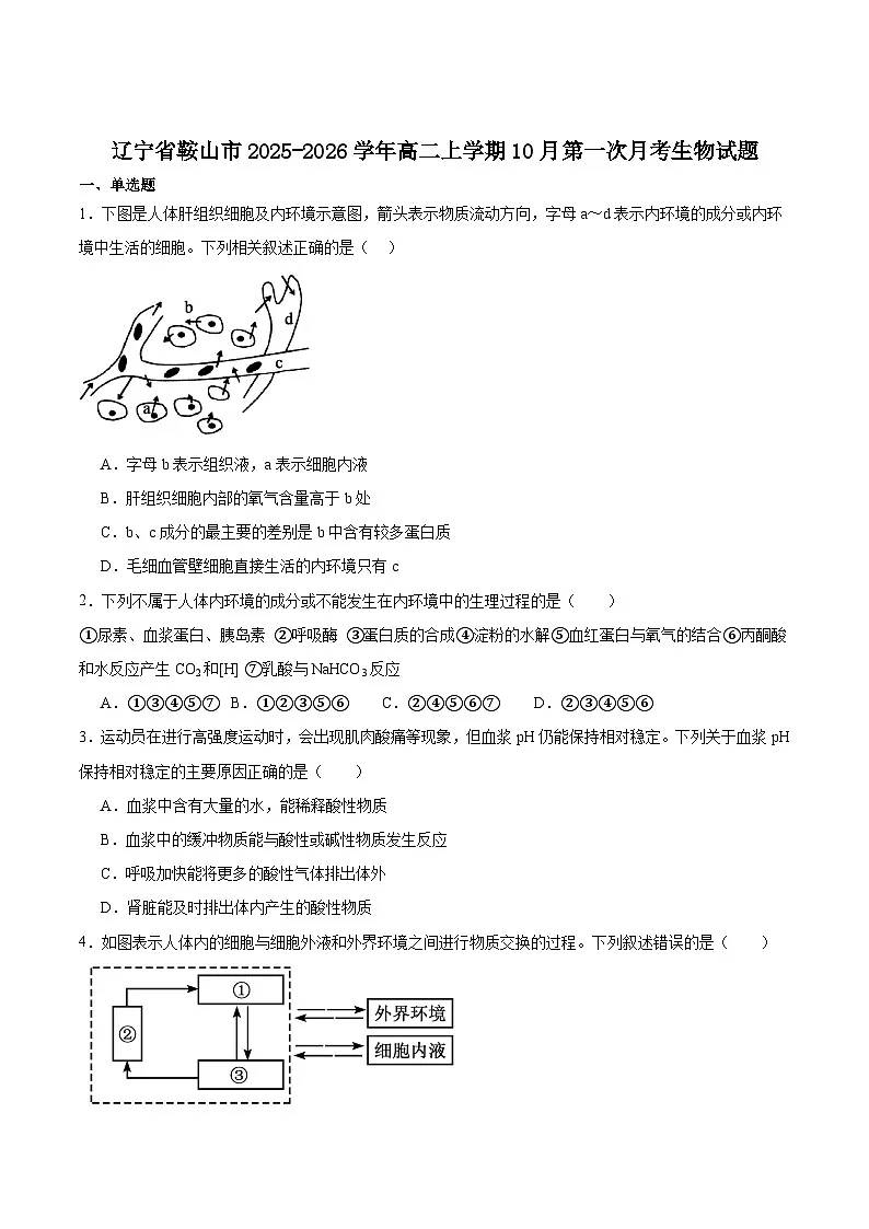 辽宁省鞍山市2025-2026学年高二上学期10月月考生物试卷(Word版附答案)第1页