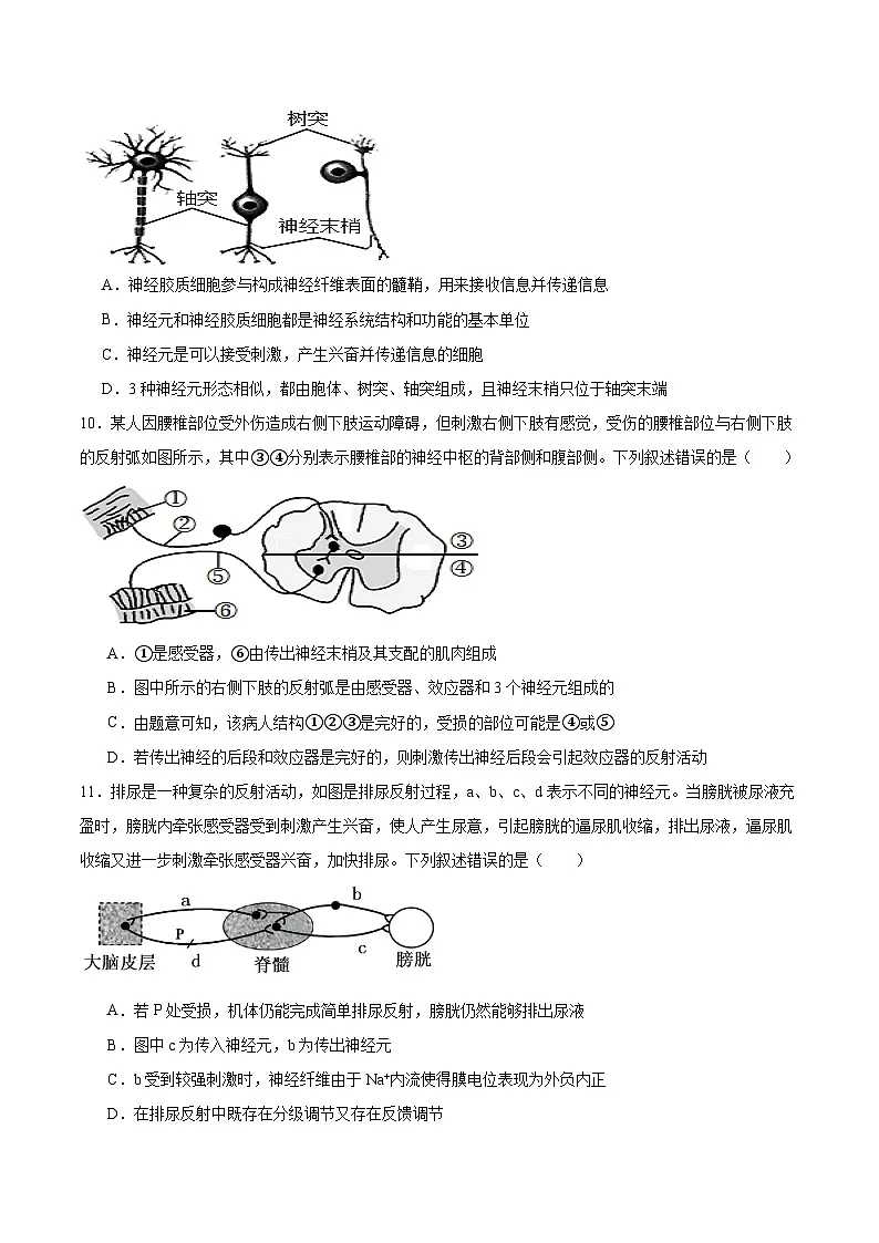 辽宁省鞍山市2025-2026学年高二上学期10月月考生物试卷(Word版附答案)第3页