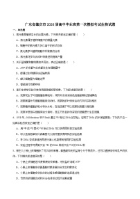 广东省肇庆市2026届高三上学期第一次模拟考试生物试卷（Word版附答案）