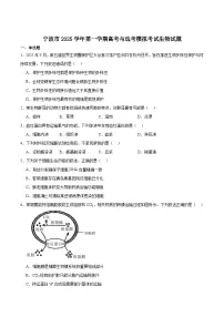 浙江省宁波市2026届高三上学期11月一模考试生物试卷（Word版附答案）