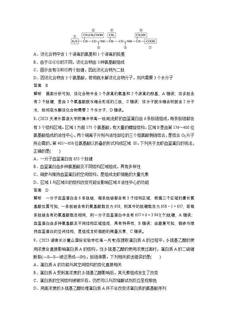 高考生物【一轮复习】精品讲义练习合集 (4)第3页