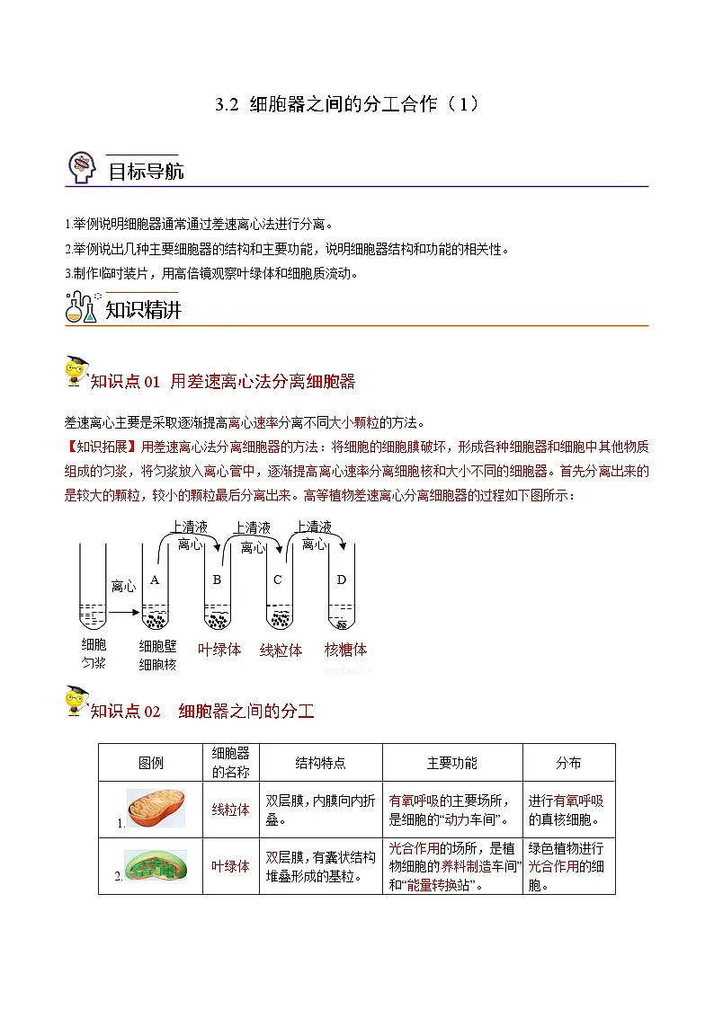 高考生物【一轮复习】精品讲义练习合集 (7)第1页