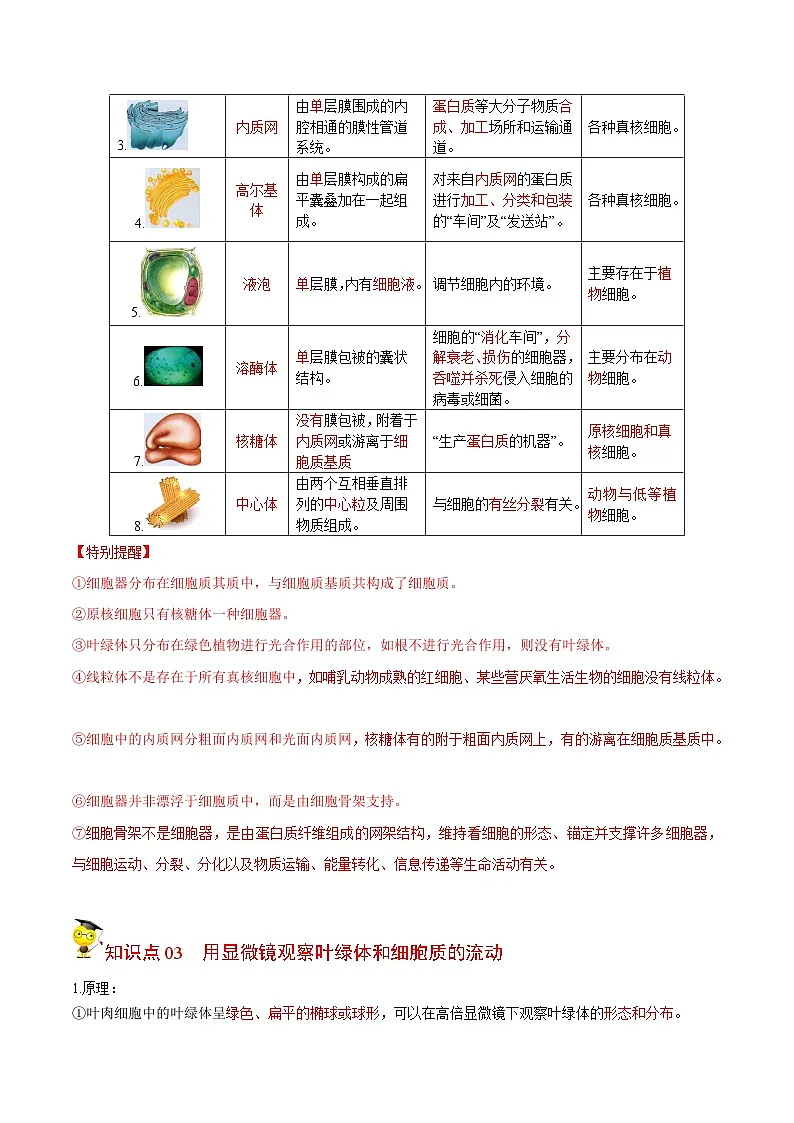 高考生物【一轮复习】精品讲义练习合集 (7)第2页