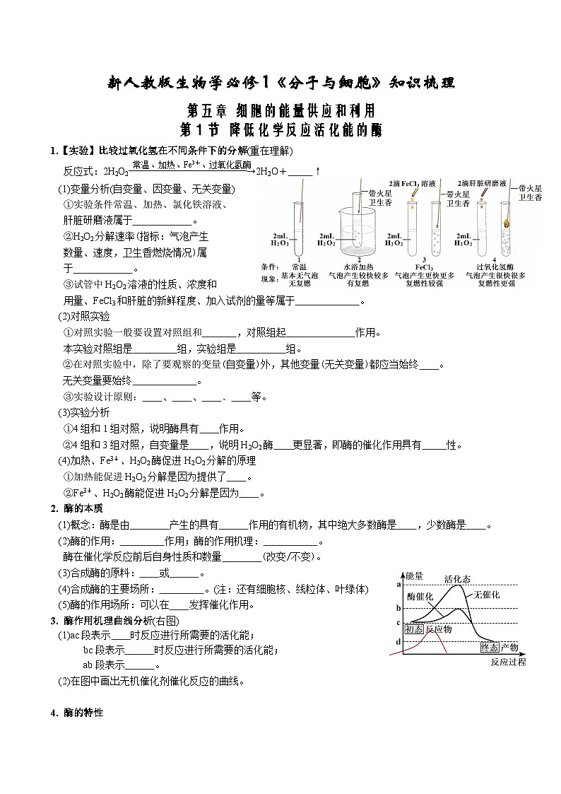 高考生物【一轮复习】精品讲义练习合集 (4)第1页