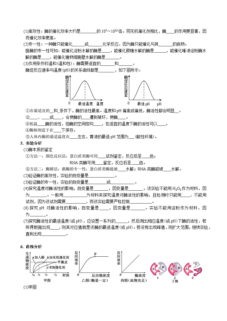 高考生物【一轮复习】精品讲义练习合集 (4)第2页