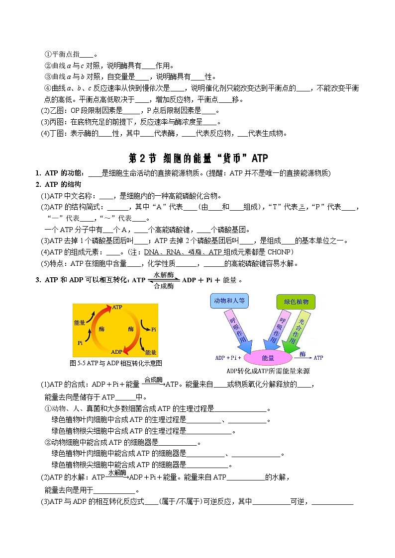 高考生物【一轮复习】精品讲义练习合集 (4)第3页