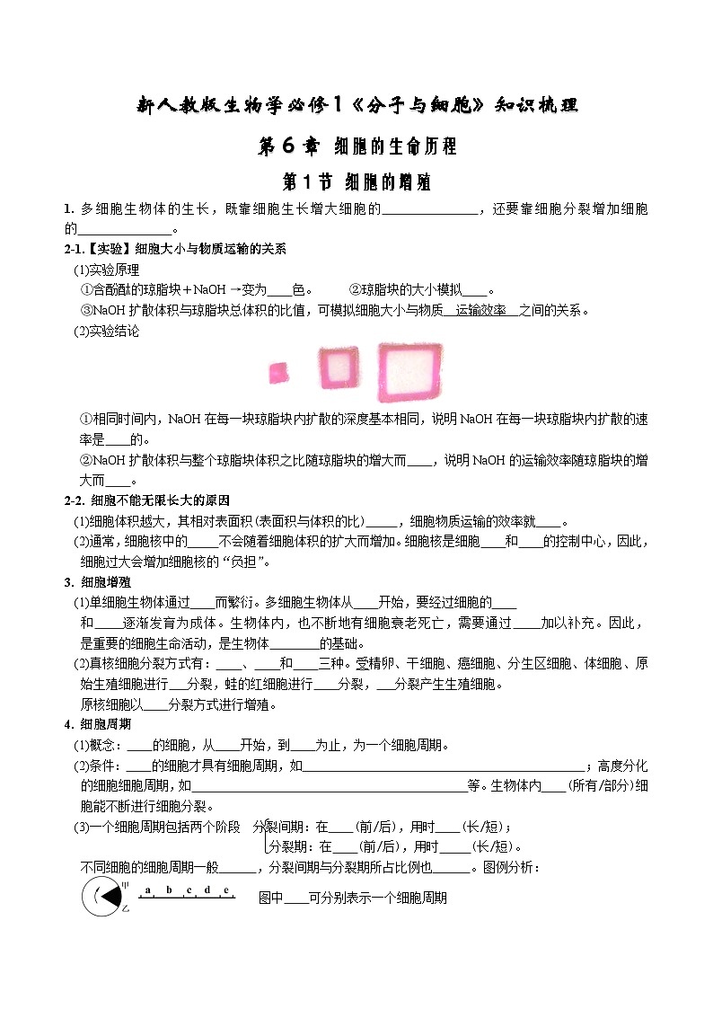 高考生物【一轮复习】精品讲义练习合集 (6)第1页