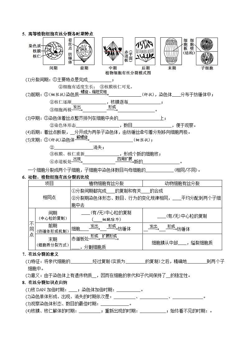 高考生物【一轮复习】精品讲义练习合集 (6)第2页