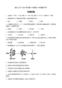 浙江省杭州市第二中学2025-2026学年高一上学期期中考试生物试卷（有答案）